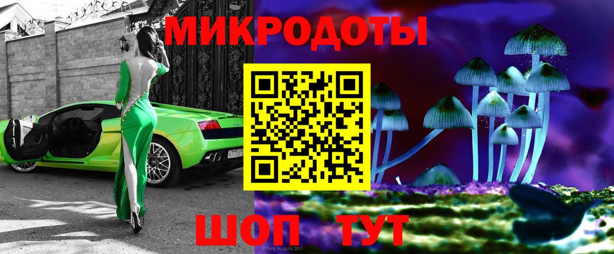 Галлюциногенные грибы Psilocybe Кинель
