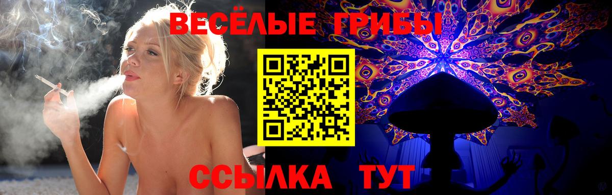 Псилоцибиновые грибы прущие грибы  купить  цена  Кинель  Вход с VPN 