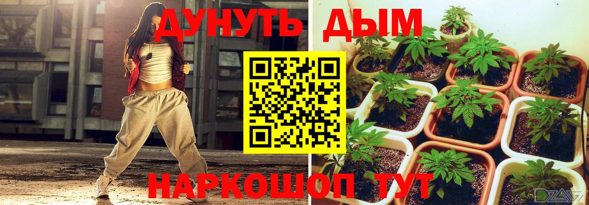 Конопля Ganja  Вход с VPN  Кинель  Шишки марихуана VHQ 